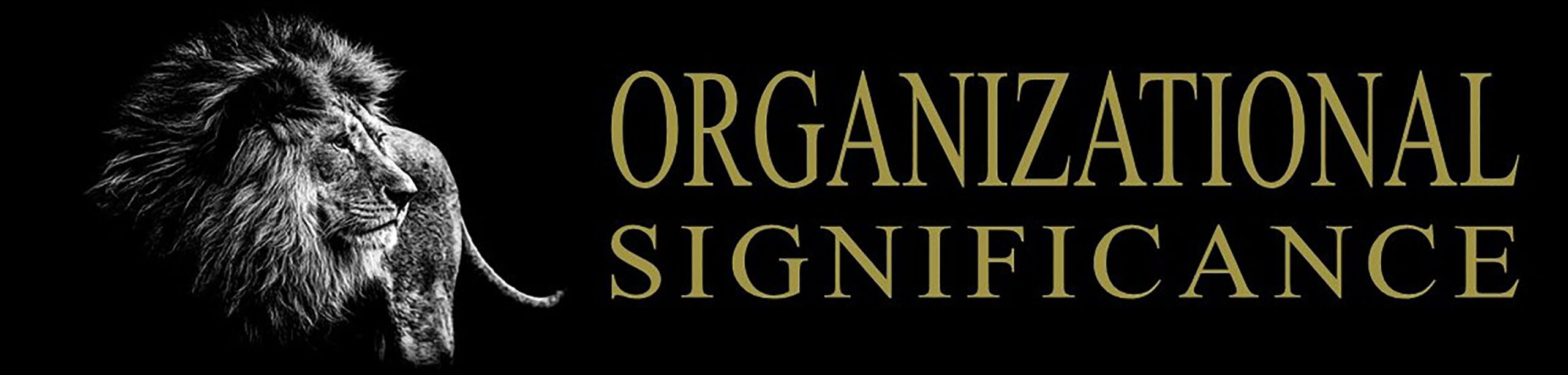 Professional Significance Graphics – ORGANIZATIONAL 300 DPI