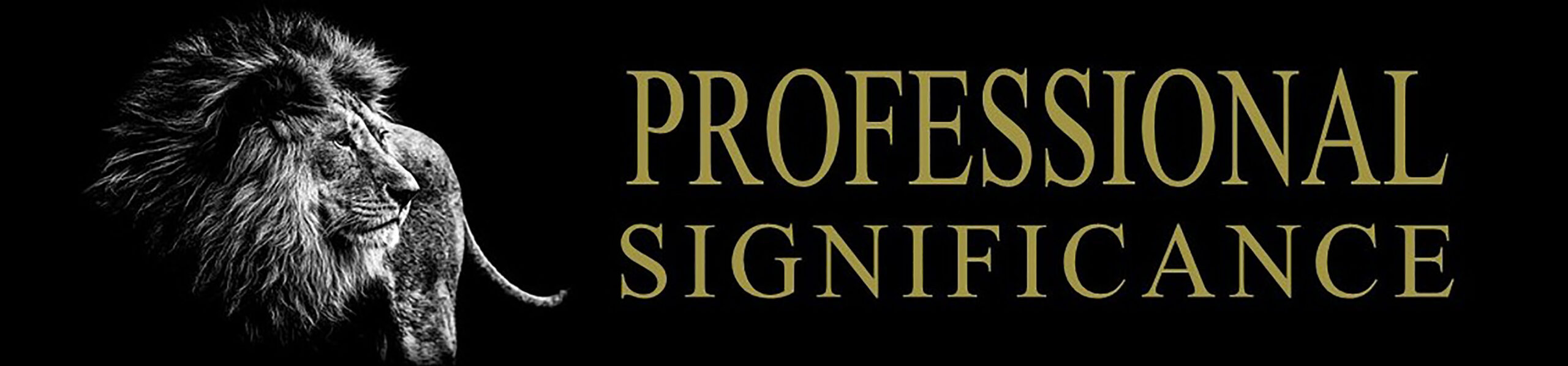 Professional Significance Graphics – PROFESSIONAL 300 dpi